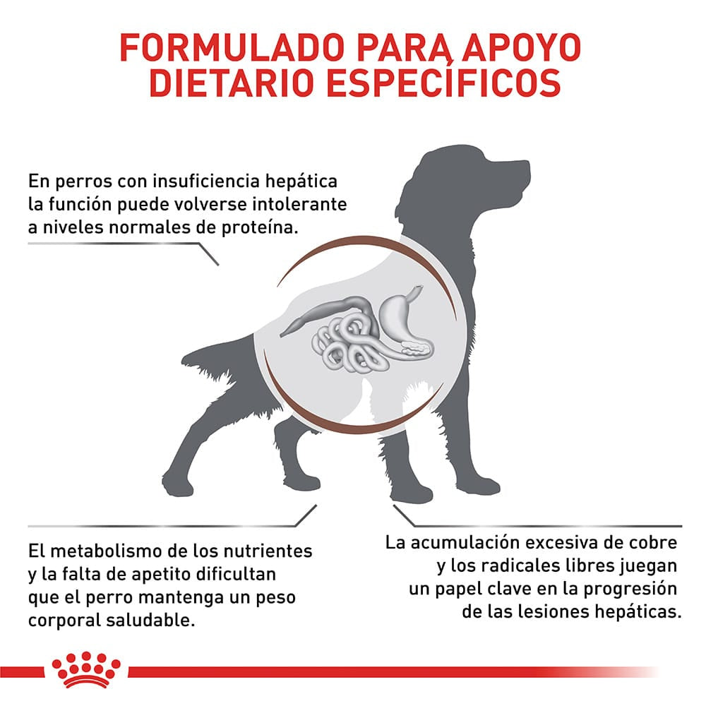 Alimento para perro Royal Canin Hepatic