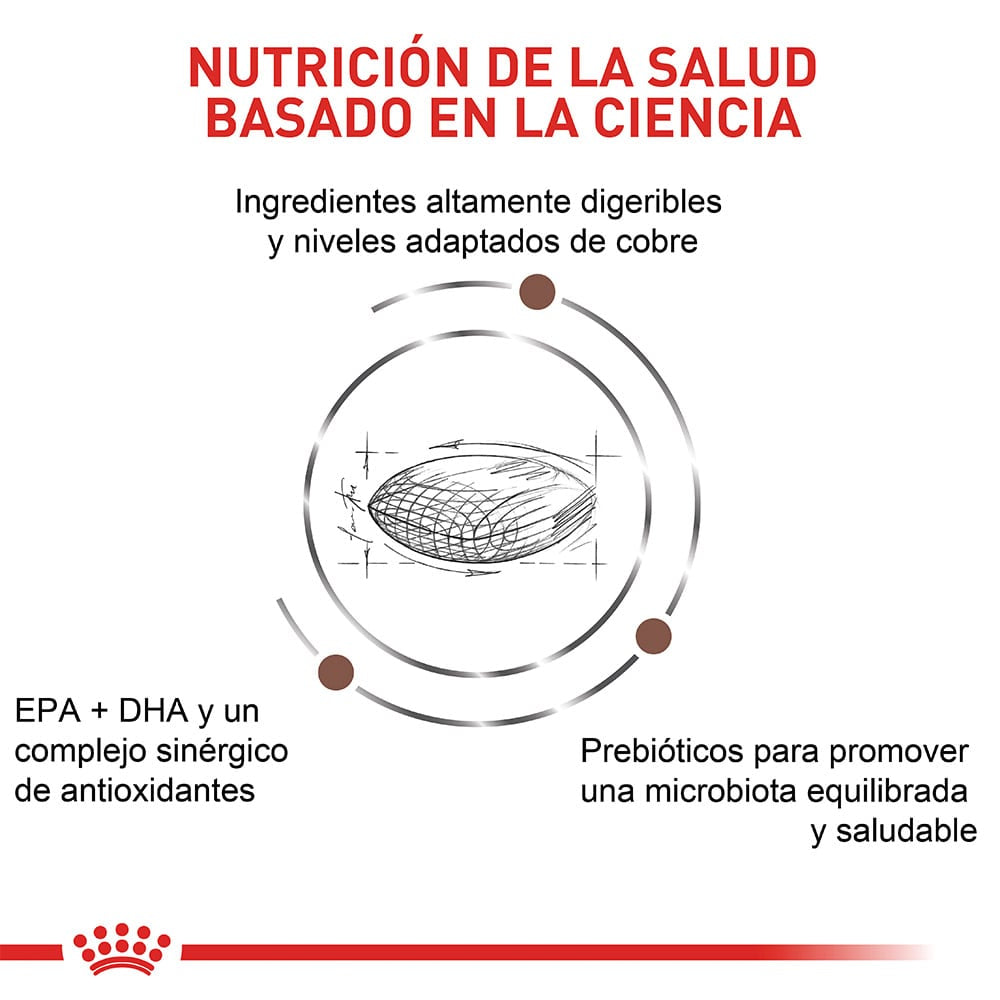 Alimento para perro Royal Canin Hepatic