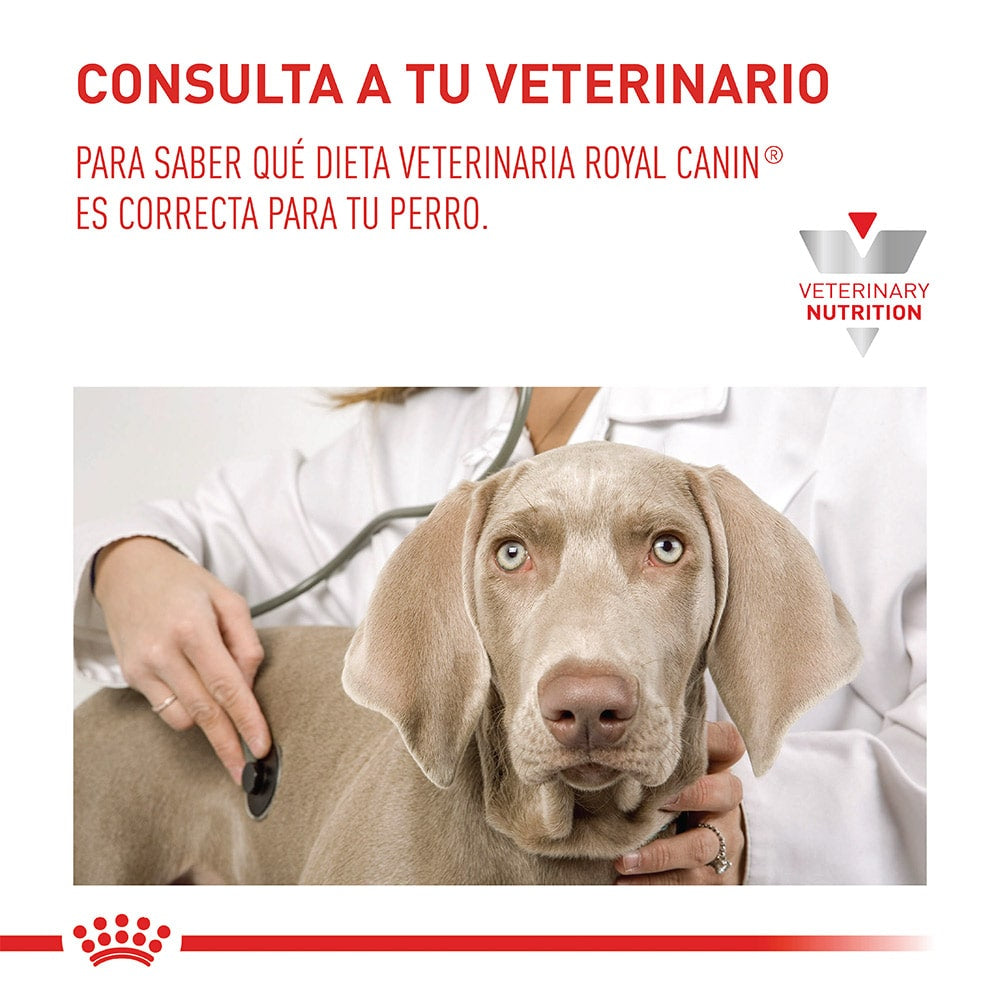 Alimento para perro Royal Canin Hepatic