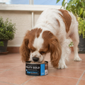 Alimento Húmedo Agility Entérico para Perros con Tracto Digestivo Sensible
