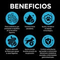 Alimento Húmedo Agility Entérico para Gatos con Tracto Digestivo Sensible
