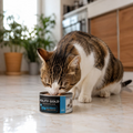 Alimento Húmedo Agility Entérico para Gatos con Tracto Digestivo Sensible
