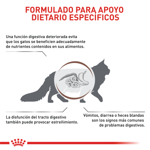 Alimento Para gato Royal Canin Fibre