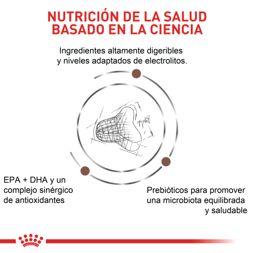 Alimento Para gato Royal Canin Fibre