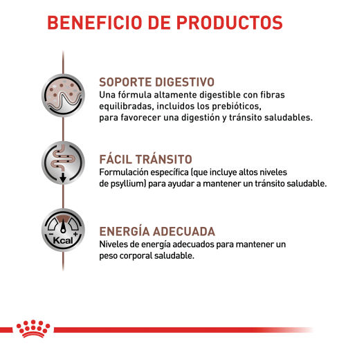 Alimento Para gato Royal Canin Fibre