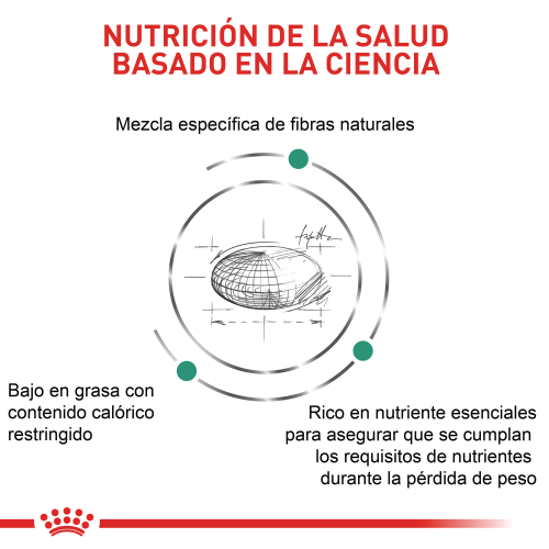 Alimento Para Gato Royal Canin Satiety Support