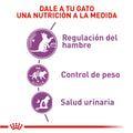 Alimento Para Gato Royal Canin Appetite Control Kit Especial
