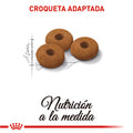 Alimento Para Gato Royal Canin Appetite Control Kit Especial
