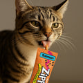 Snack Cremoso Zippy Kanu Pet para Gatos sabor Salmón