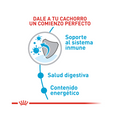 Alimento Para Perro Royal Canin Mini Puppy Precio Especial