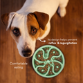 Comedero Circular Flor Antirreflujo Kanu Pet Verde para Perro y Gato