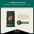 Alimento para perro Proplan Cachorro Razas Pequeñas