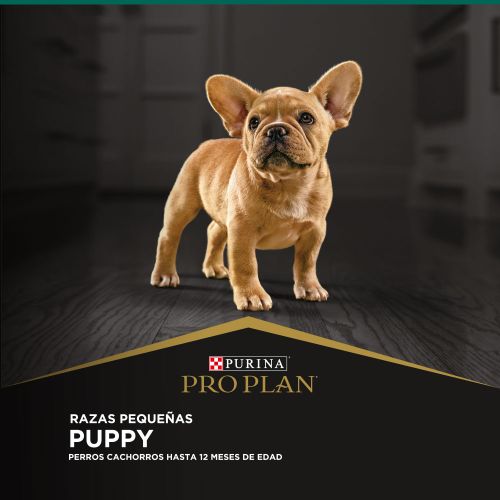 Alimento para perro Proplan Cachorro Razas Pequeñas
