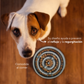 Comedero Circular Antirreflujo Kanu Pet Gris para Perro y Gato