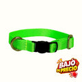 Collar Verde Neon Kanu Pet para Gato
