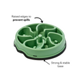 Comedero Circular Flor Antirreflujo Kanu Pet Verde para Perro y Gato