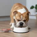 Alimento Congelado Burger sabor Carne Kanu Pet para Perros 100% Comida Real