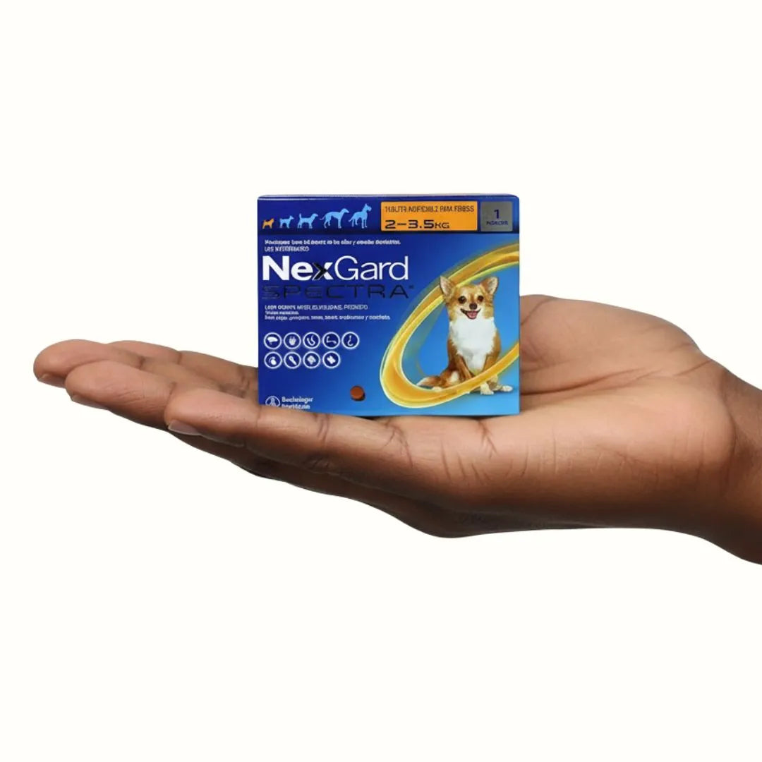 Antipulgas Nexgard Spectra  para Perros  XS de 2 a 3.5 Kg