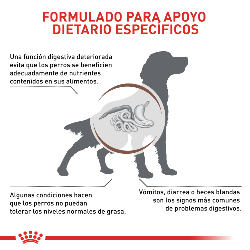 Alimento para perro Royal Canin GastroIntestinal Bajo En Grasa