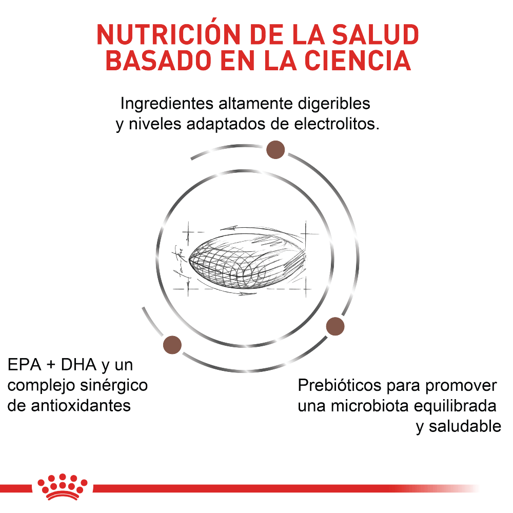 Alimento para perro Royal Canin GastroIntestinal Bajo En Grasa