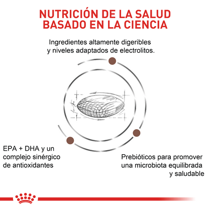 Alimento para perro Royal Canin GastroIntestinal Bajo En Grasa