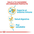 Alimento para perro Royal Canin Bulldog Frances Junior