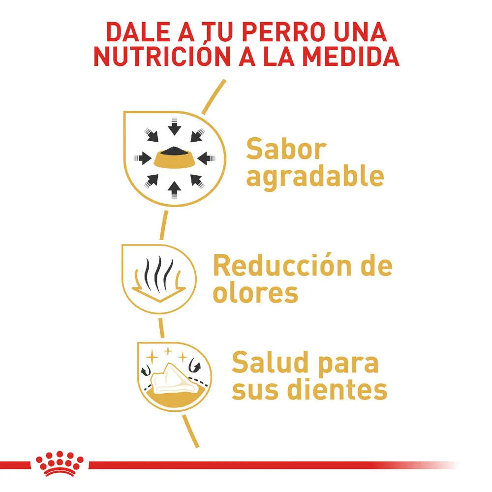 Alimento para perro Royal Canin Chihuahua Adulto