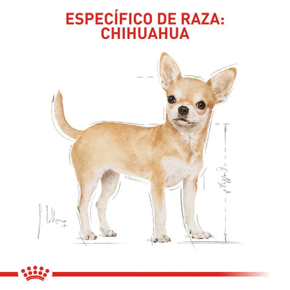 Alimento para perro Royal Canin Chihuahua Adulto