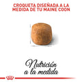 Alimento para gato Royal Canin Maine Coon Adulto