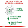 Alimento para perro Royal Canin Mini Adulto