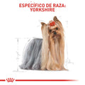 Alimento para perro Royal Canin Yorkshire Terrier