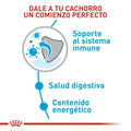 Alimento para perro Royal Canin Mini Puppy