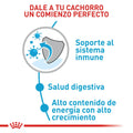 Alimento para perro Royal Canin Medium Junior
