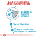 Alimento para perro Royal Canin Maxi Junior