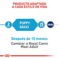Alimento para perro Royal Canin Maxi Junior