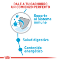 Alimento Para Perro Royal Canin Mini Indoor Puppy