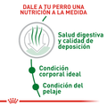 Alimento Para Perro Royal Canin Mini Indoor Adult