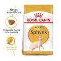 Alimento Para Gato Royal Canin Sphynx Adult