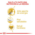 Alimento Para Gato Royal Canin Sphynx Adult