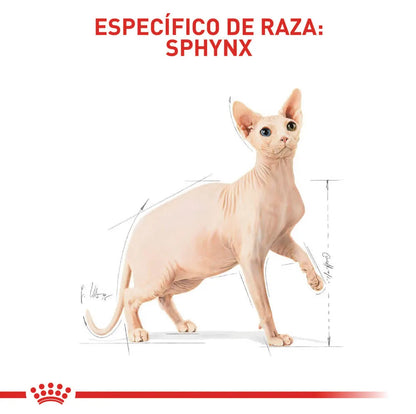 Alimento Para Gato Royal Canin Sphynx Adult