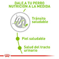 Alimento Para Perro Royal Canin X-Small Adult