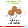 Alimento Para Perro Royal Canin X-Small Adult