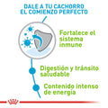 Alimento Para Perro Royal Canin X-Small Puppy