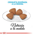 Alimento Para Perro Royal Canin X-Small Puppy