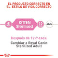 Alimento Para Gato Royal Canin Kitten Sterilised
