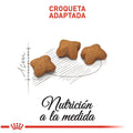 Alimento Para Gato Royal Canin Kitten Sterilised