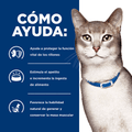 Alimento para gato Hills Felino K/D Lata