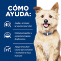Alimento para perro Hills Canino K/D
