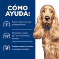 Alimento para perro Hills Canino Z/D