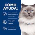 Alimento para gato Hills Felino R/D